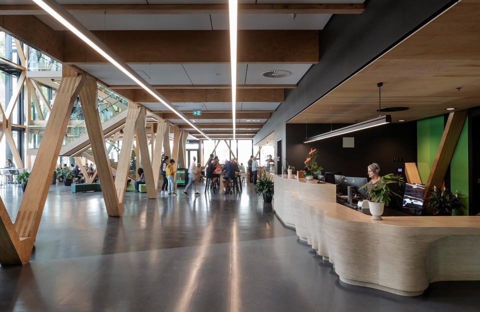 Te Whare Nui o Tuteata The SCION Timber Innovation Hub by RTA Studio Irving Smith Architects