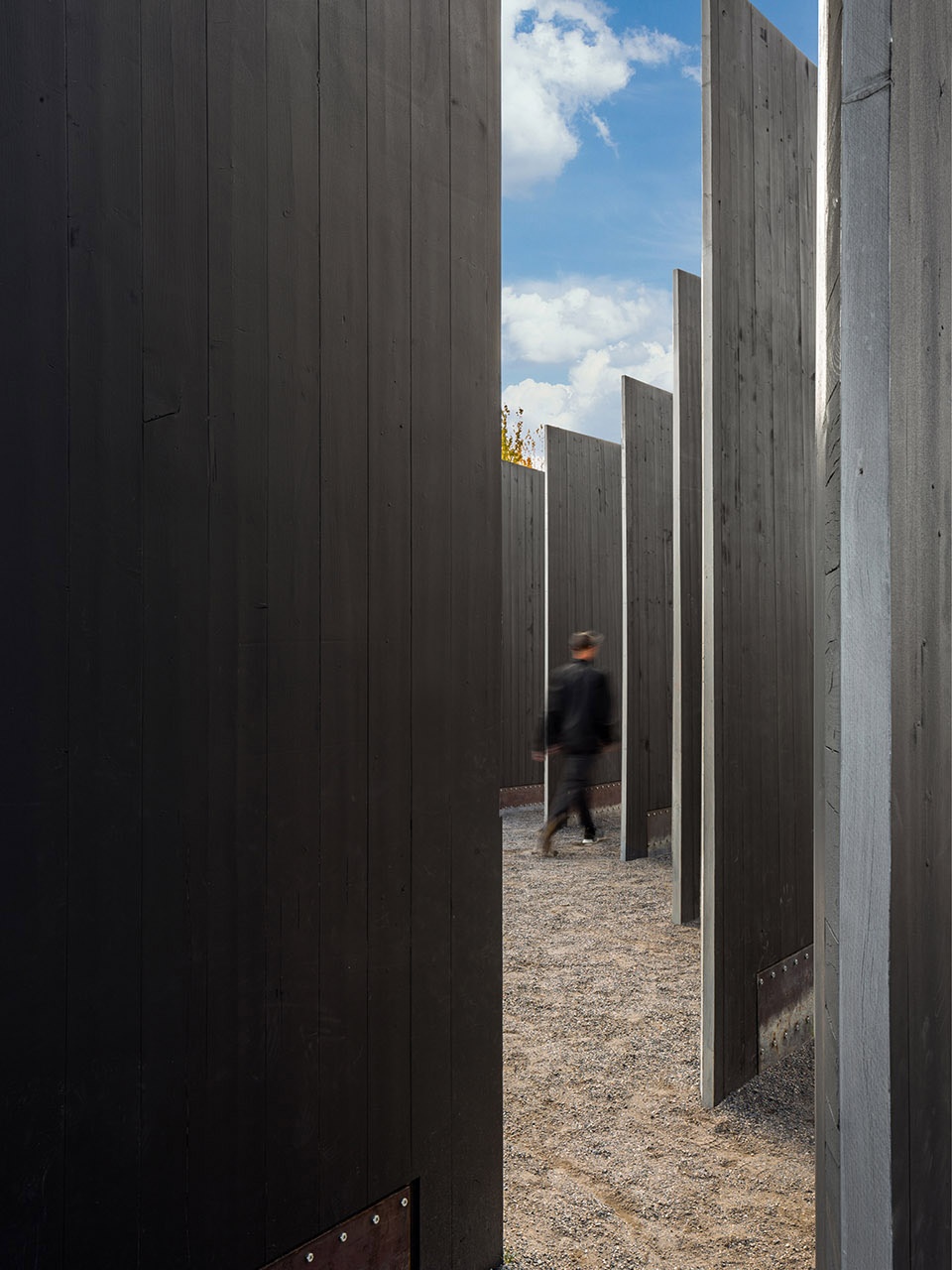 Town Enclosure by CLB Architects 1