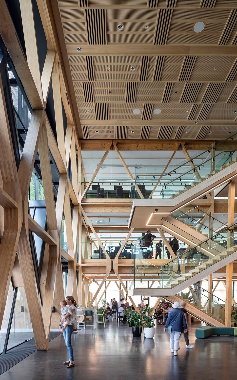 Te Whare Nui o Tuteata The SCION Timber Innovation Hub by RTA Studio Irving Smith Architects