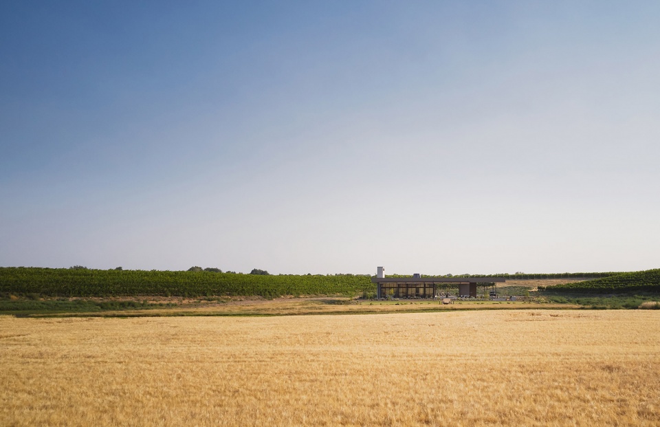 alton wines by goc