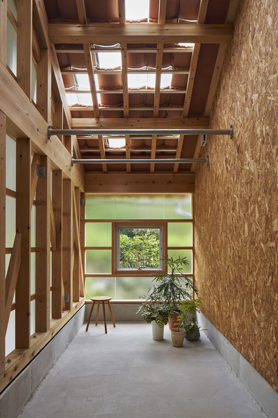 mimosa house by marutau arqui