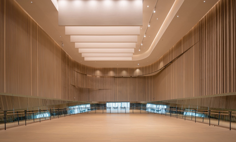baoan performing arts centre china by rocco design architects associates