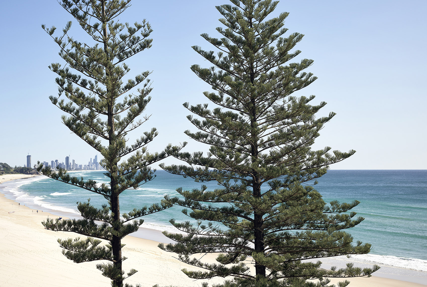 Norfolk Burleigh Heads Koichi Takada Architects