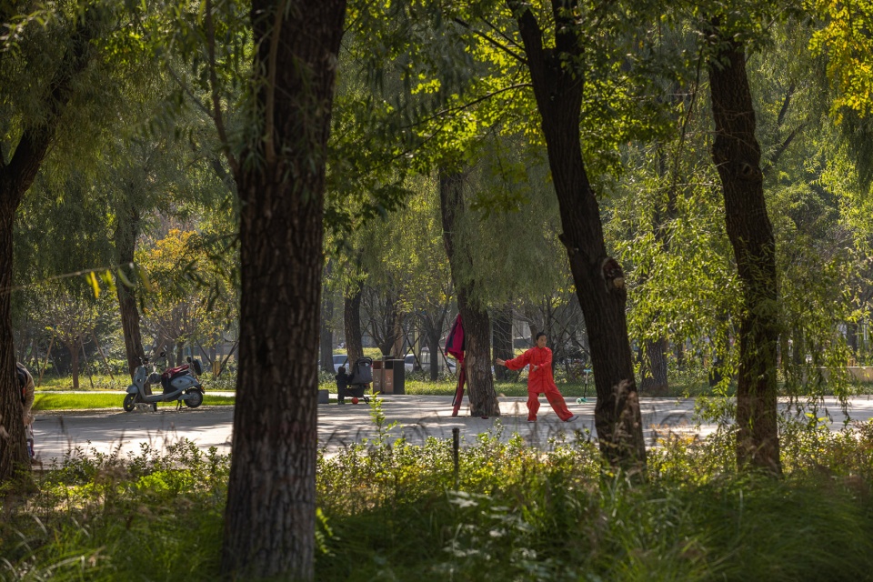 Greening Improvement of Gushuyuan Phase I design by L A Design