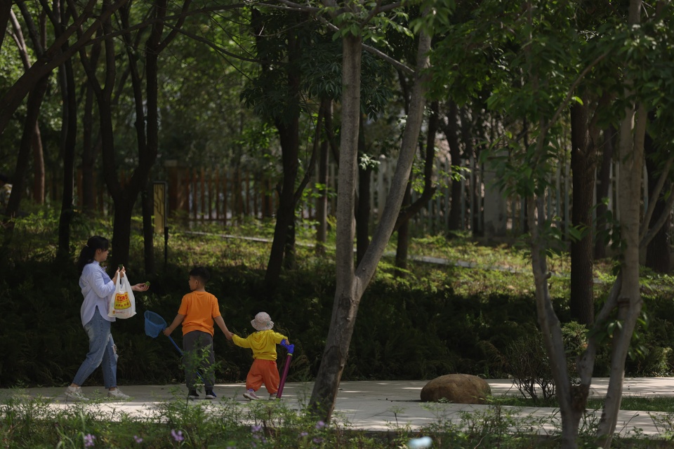 Greening Improvement of Gushuyuan Phase I design by L A Design