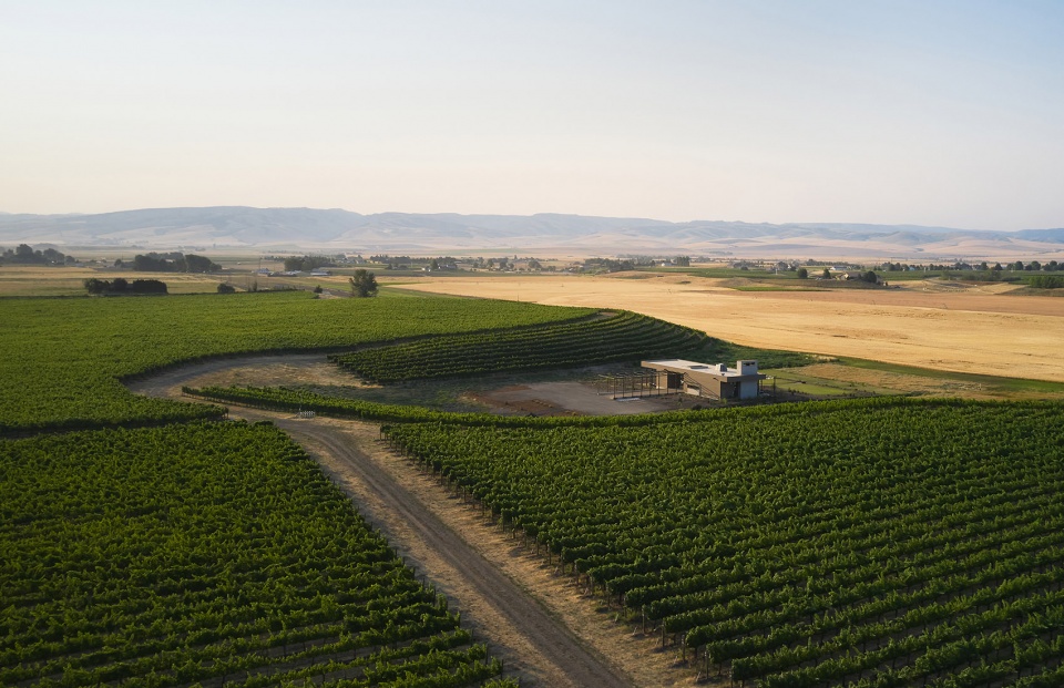 alton wines by goc
