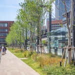 Yokohama Hammerhead by Yoshiki Toda Landscape & Architect