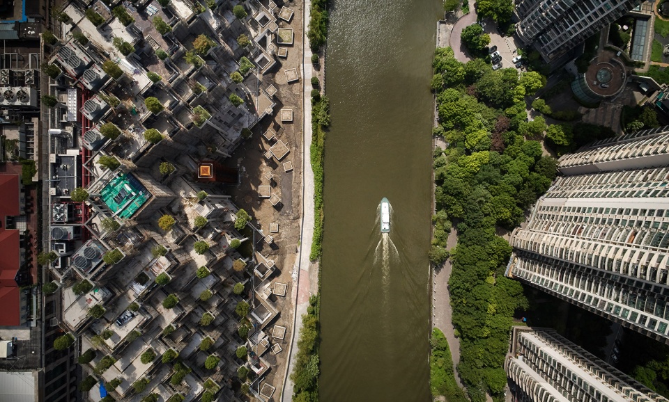 1000 Trees Heatherwick studio