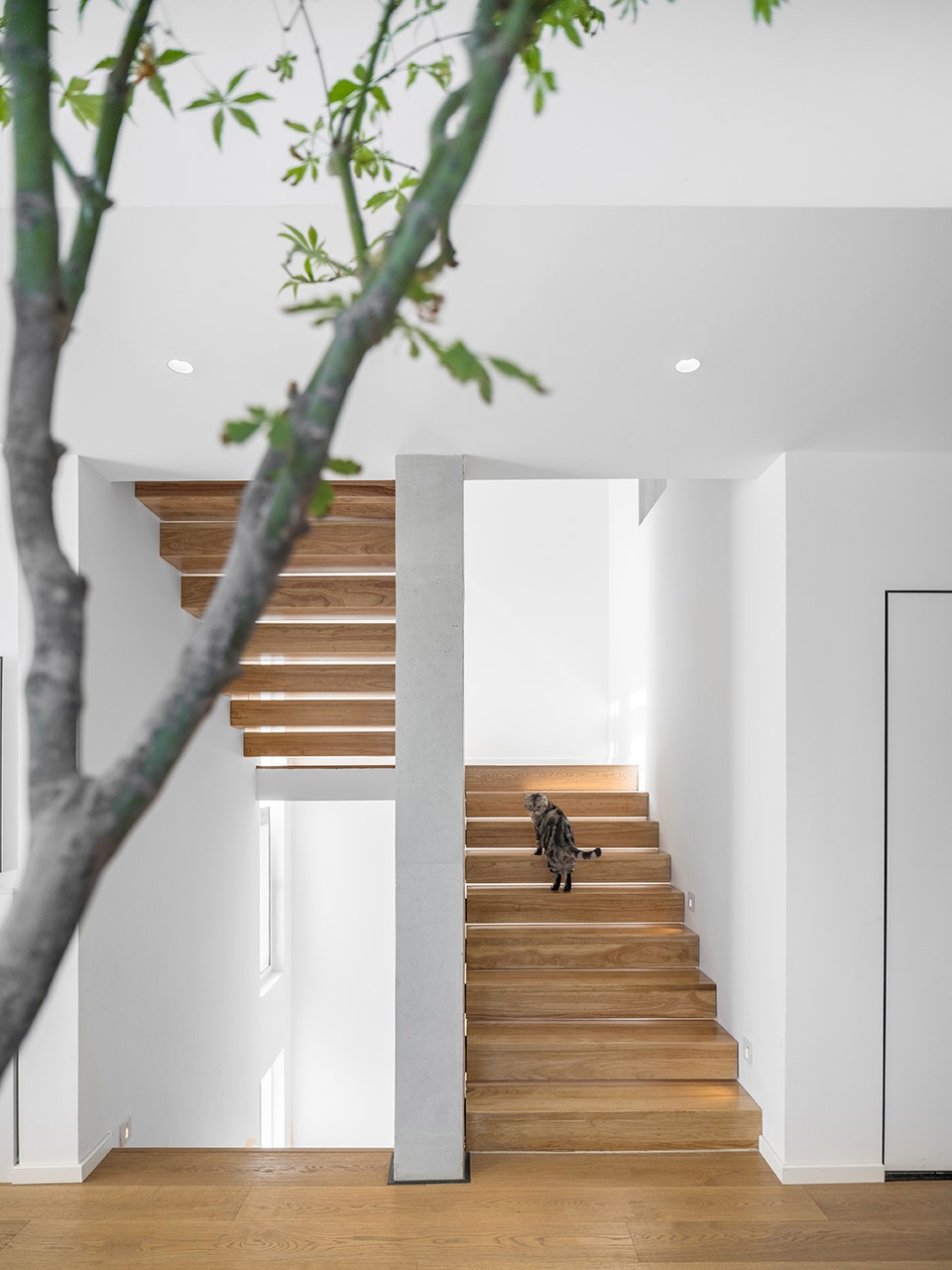 HOUSE d URBAN FUTURE DESIGN
