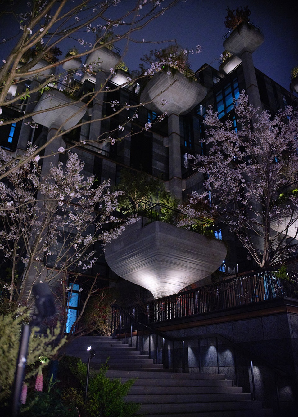 1000 Trees Heatherwick studio