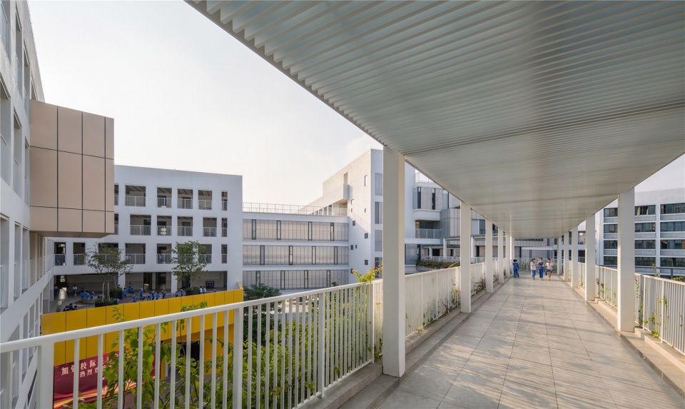Shenzhen Pingshan Rixin Primary School CMAD Architects