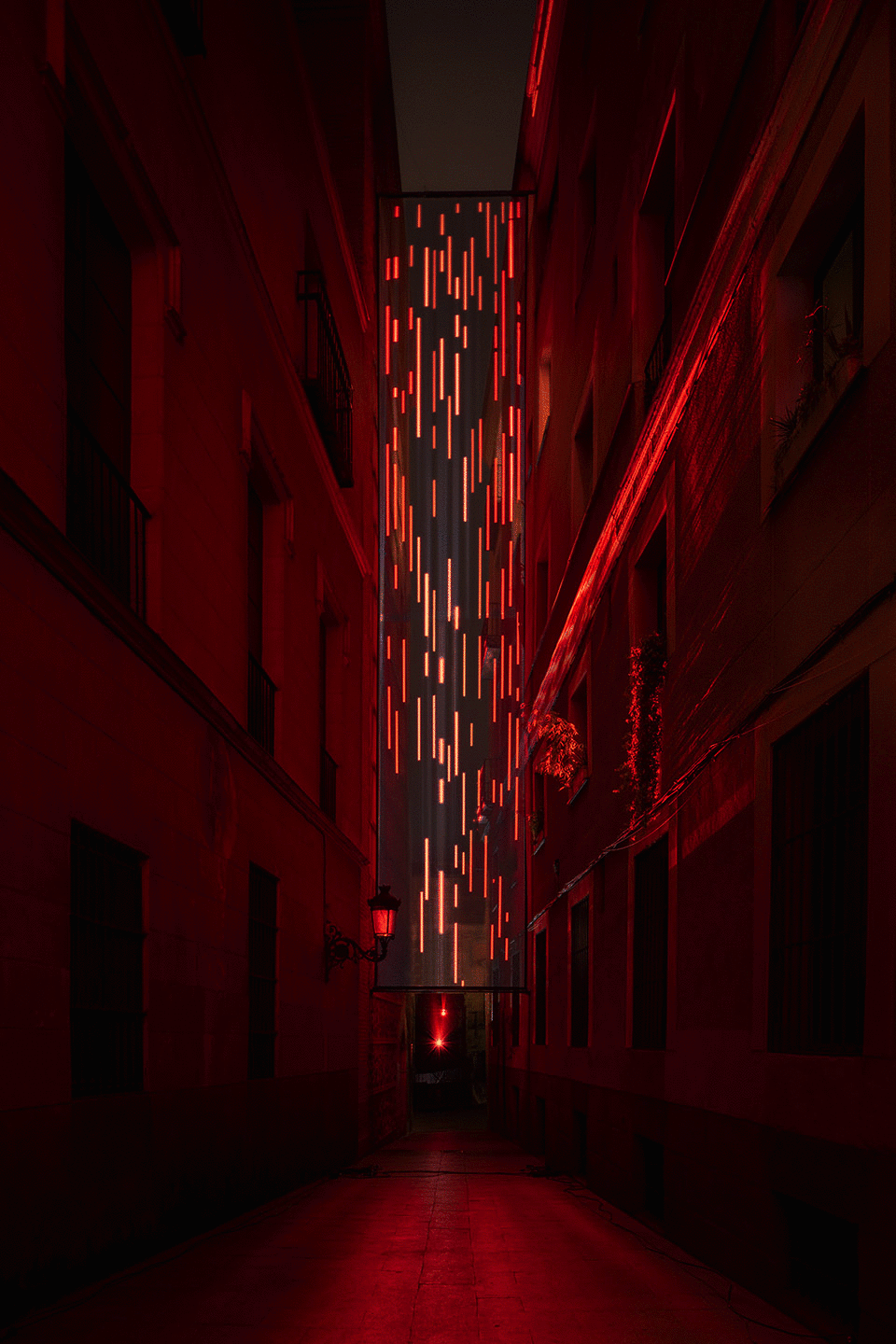 项目图片