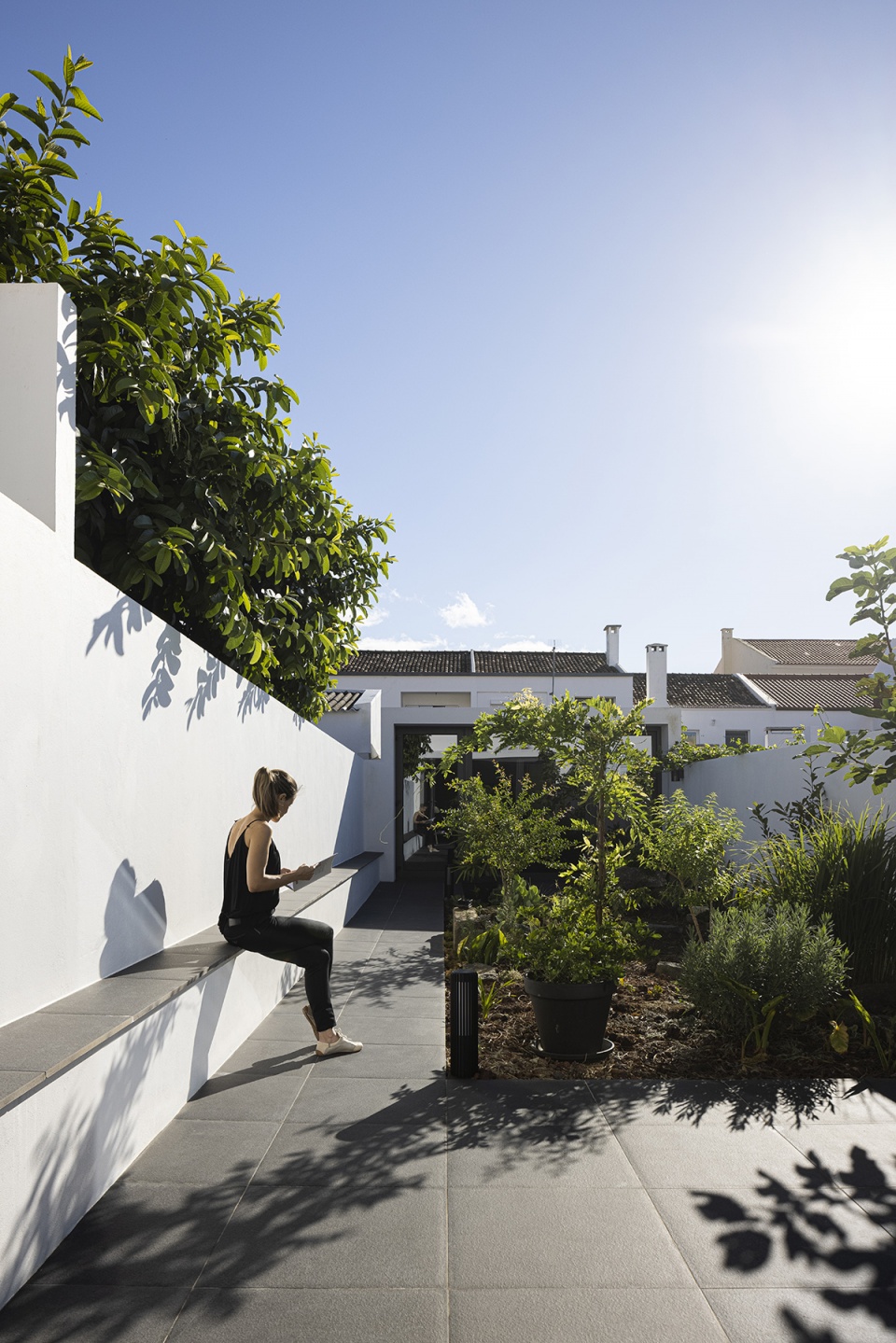 windmill house by box arquitectos