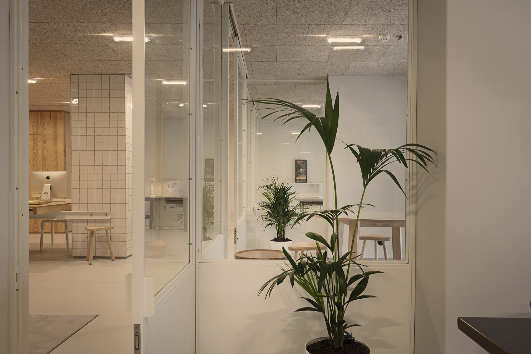 D A Studio by Domitianus Arquitetura
