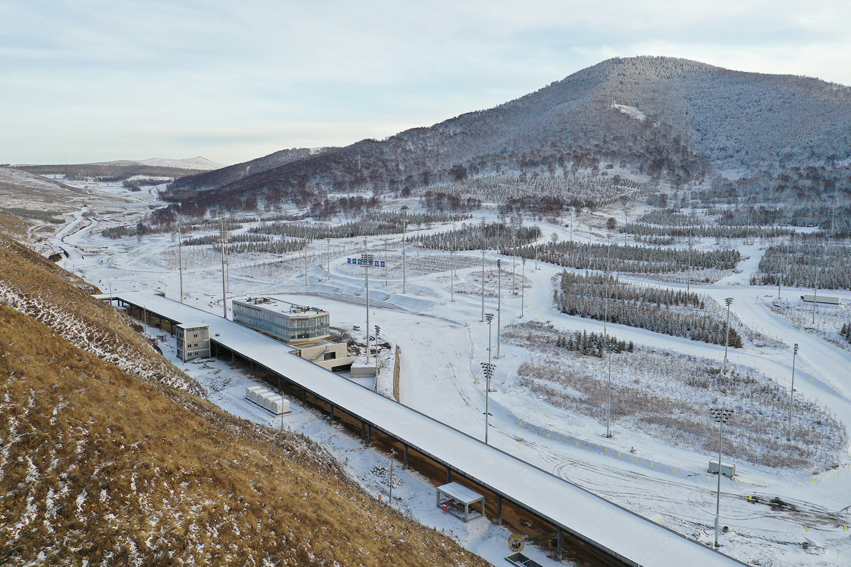 thad winter olympics architecture collection