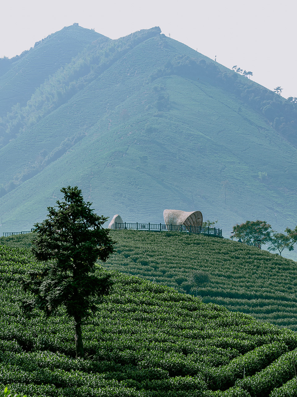Anji Sight viewing Platform and Tea House China by HATCH Architects