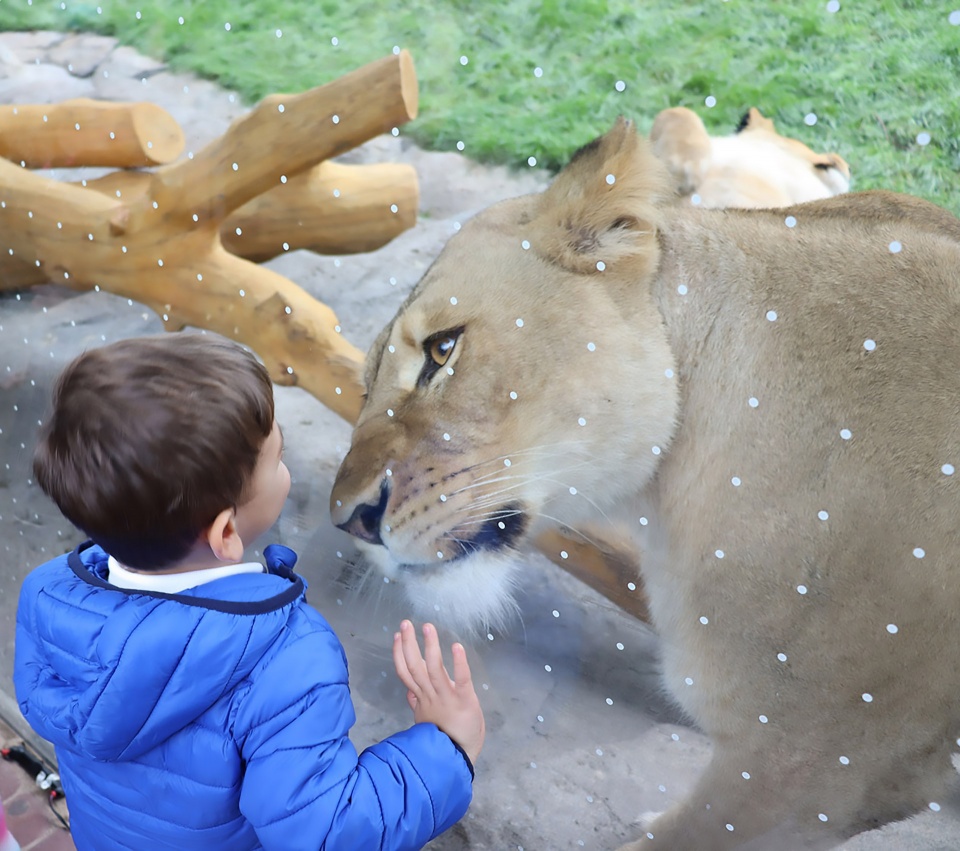 Pepper Family Wildlife Center At Lincoln Park Zoo by Goettsch Partners 1