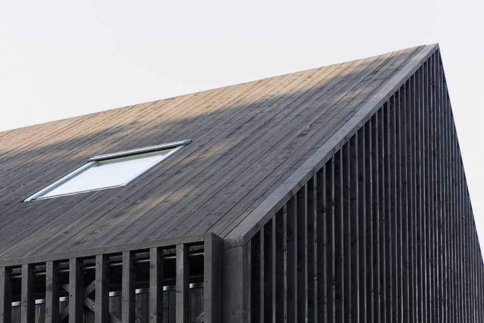 Villa Timmerman by Bornstein Lyckefors Architects