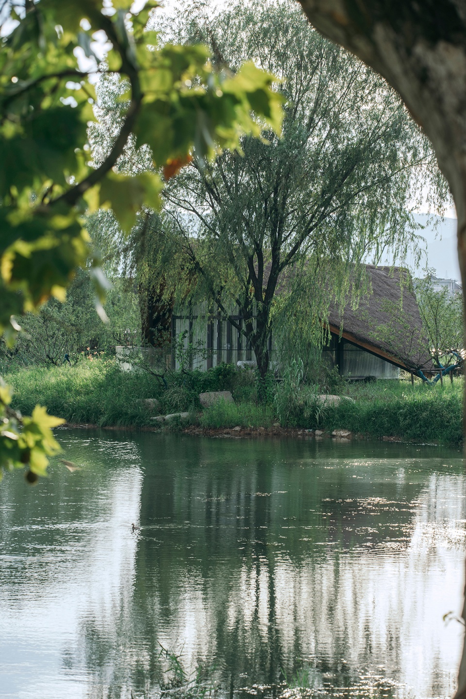 fuyang yangbei lake wetland ecological hotel china by shulin architecture