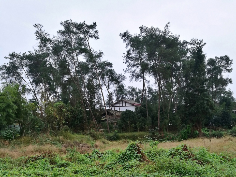 Mingting Rural Education School livil Architects 1