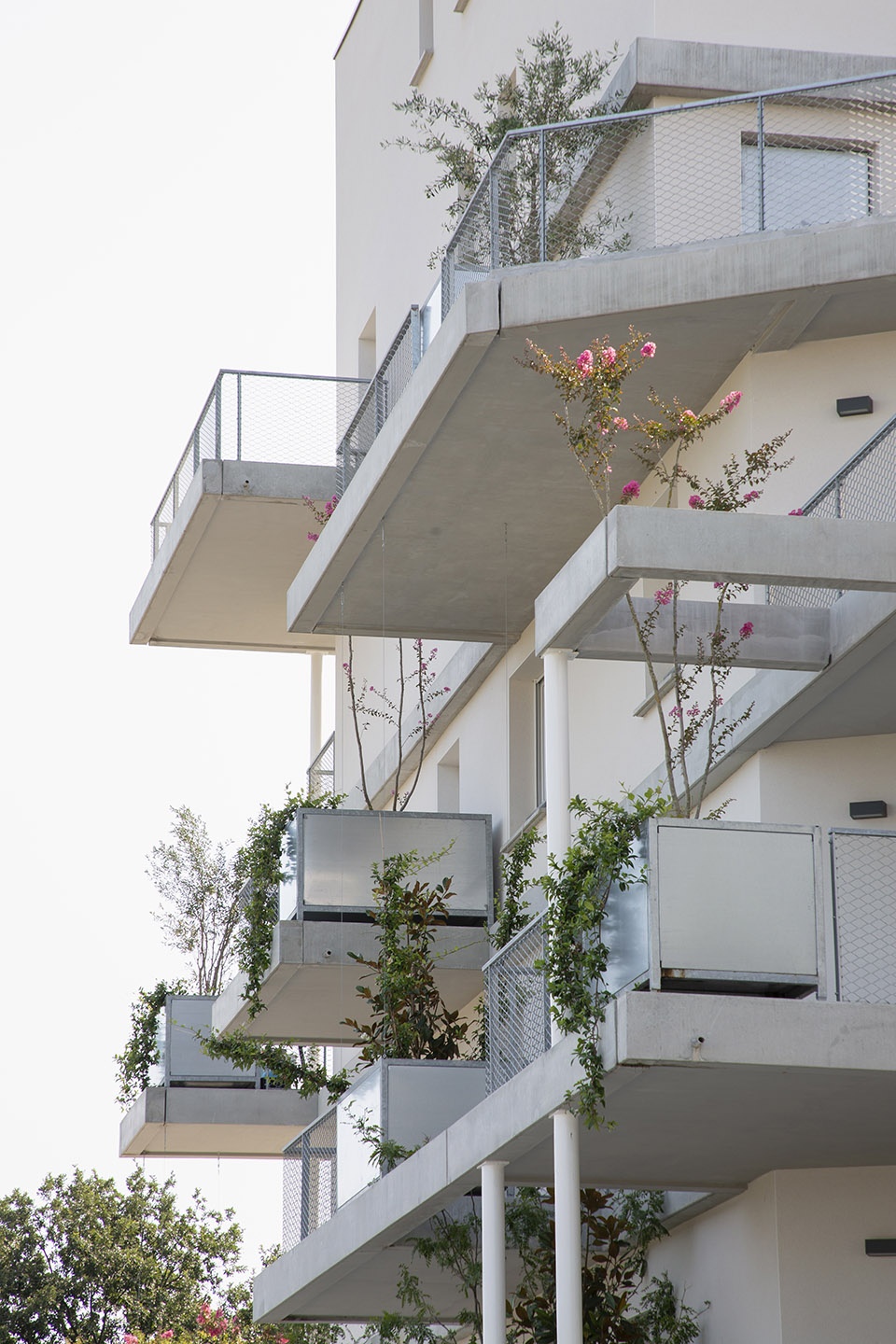 Toulouse ZAC Saint Martin Aldric Beckmann Architectes