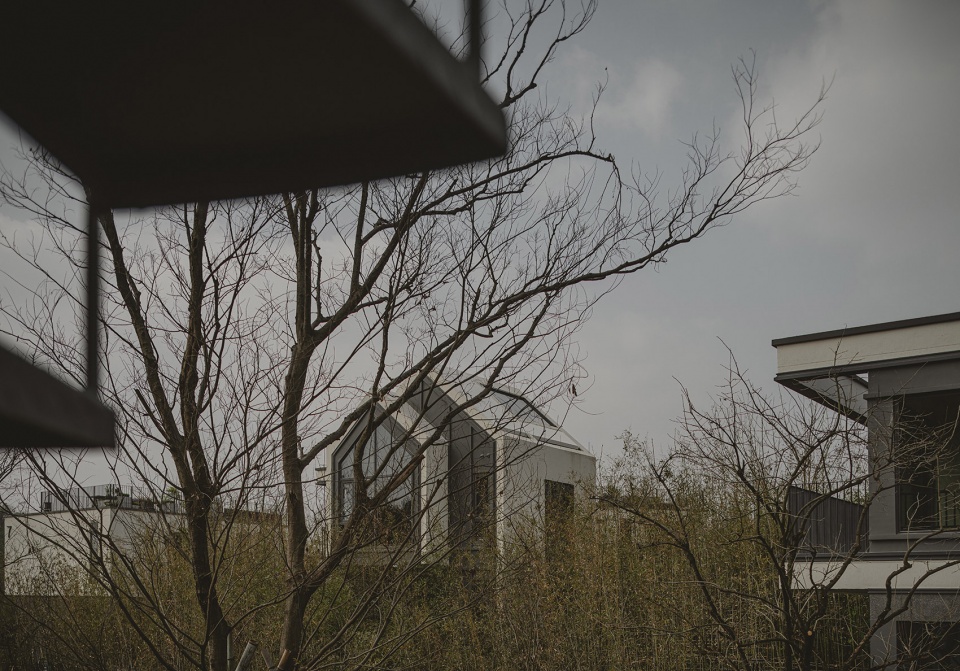 Zhulinli WJ STUDIO