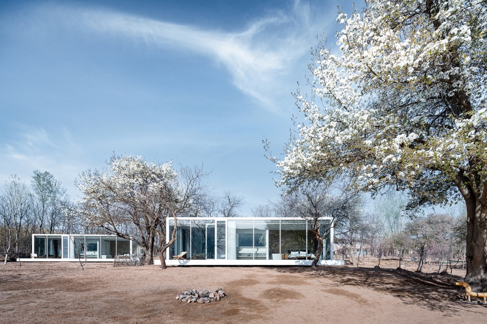 stray bird yellow river china by studio qi