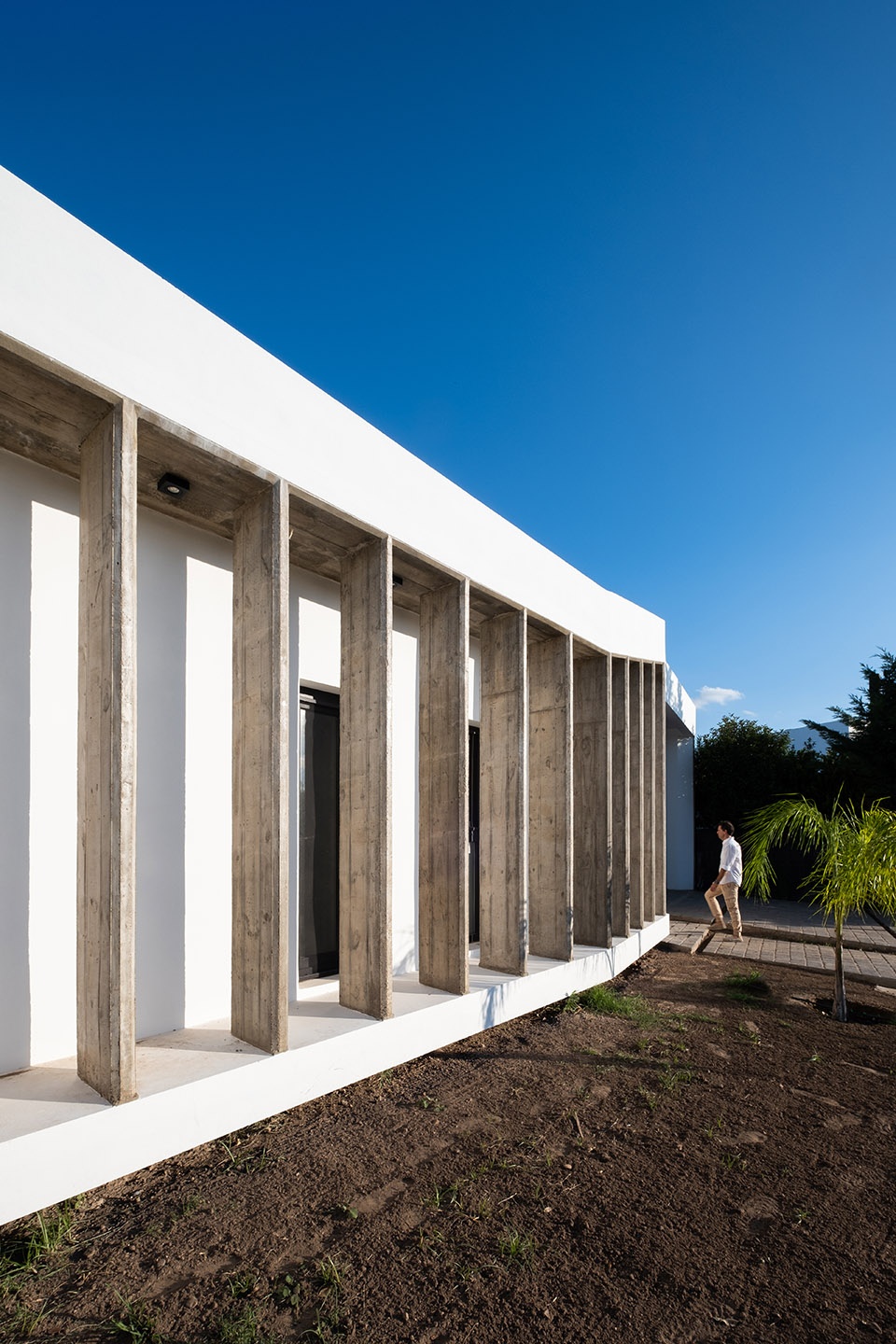 casa patio argentina by ambroggioarq