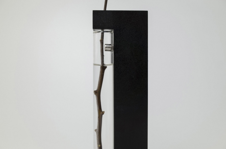 vase series by chen shujie studio