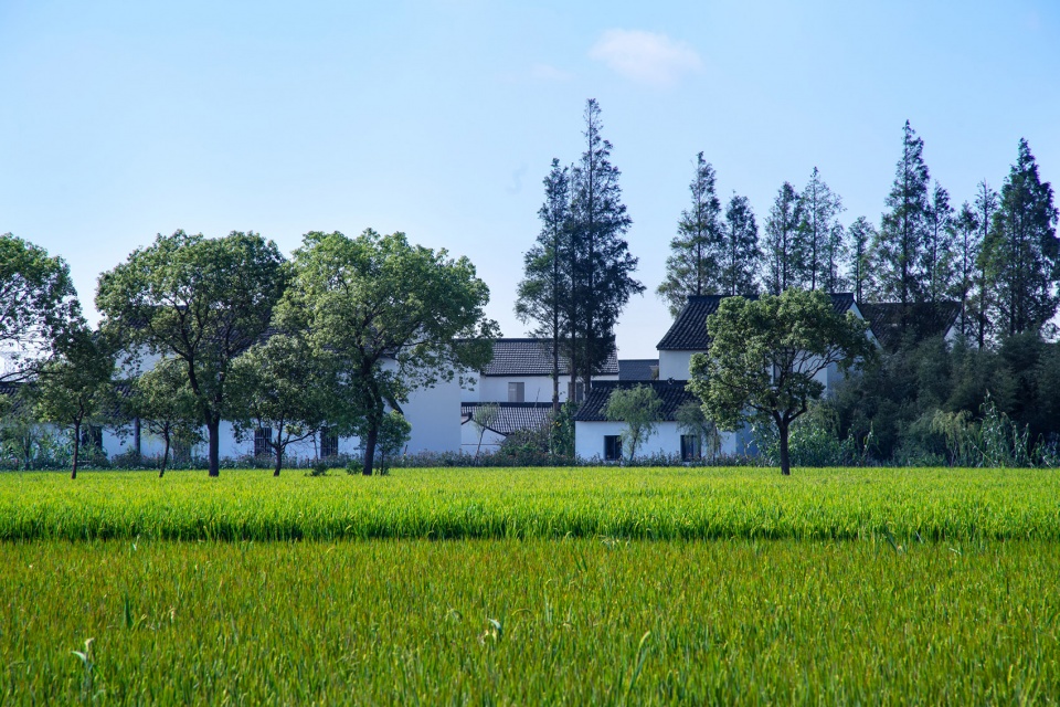 Rural Vitalization of Liyao Village SHUISHI