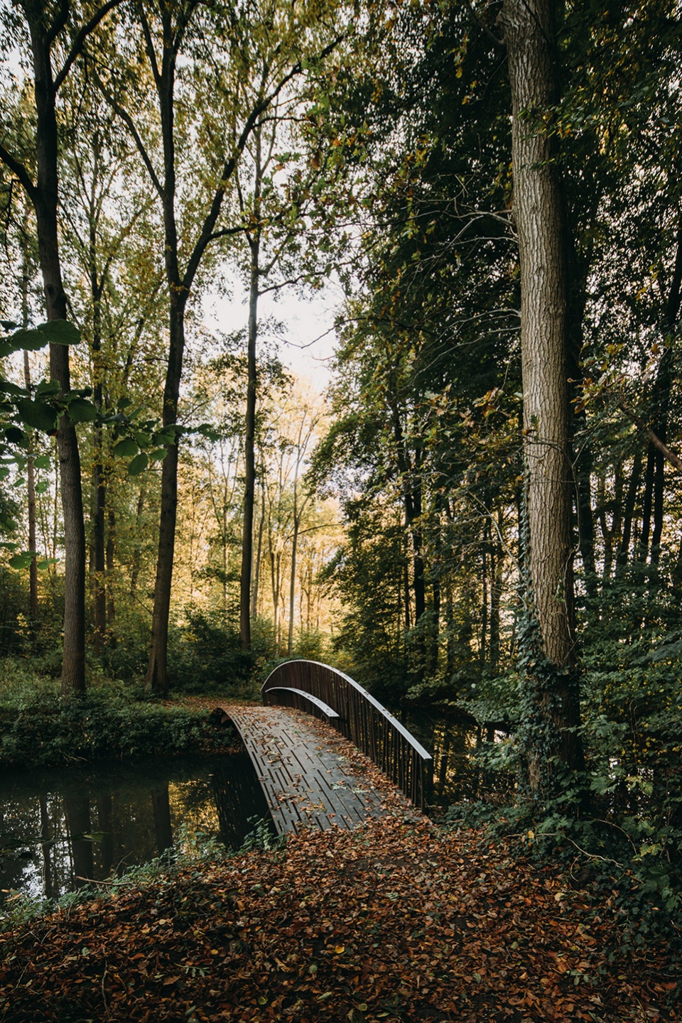 8 new bridges for windesheim estate by next architects