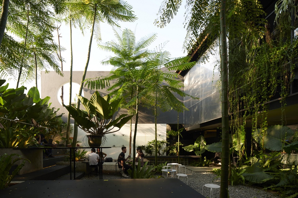 micro tropicality radar hq by radar