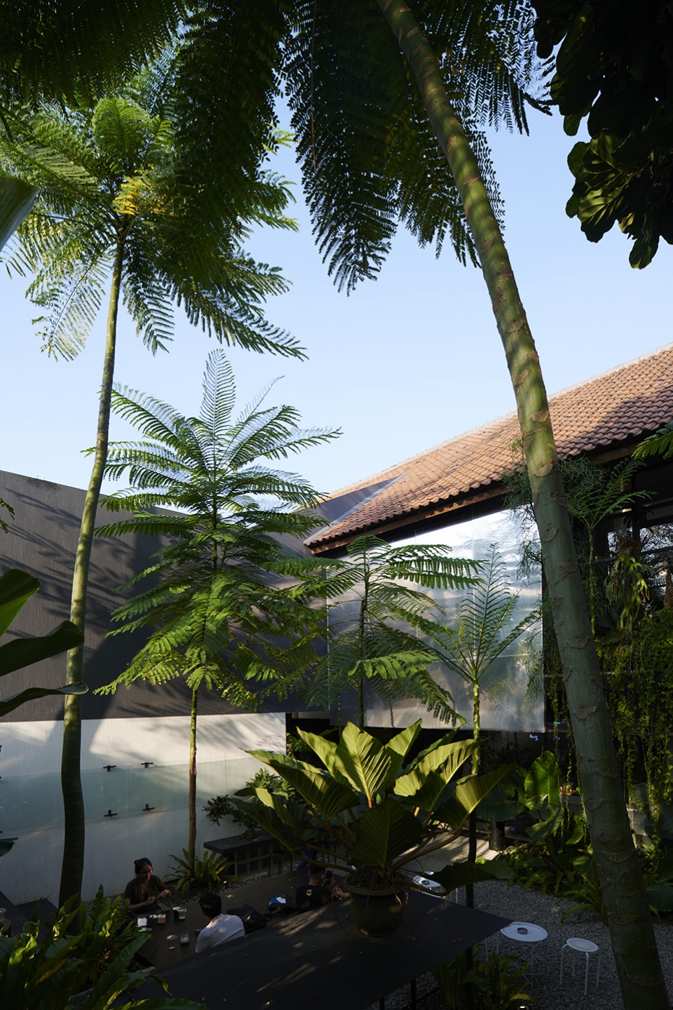 micro tropicality radar hq by radar