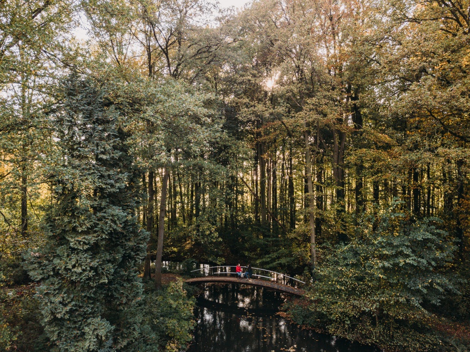 8 new bridges for windesheim estate by next architects