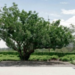 PRY 1 (Khao Yai Grandview Resort) by Shma