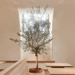 Osteria Betulla Restaurant by DA bureau