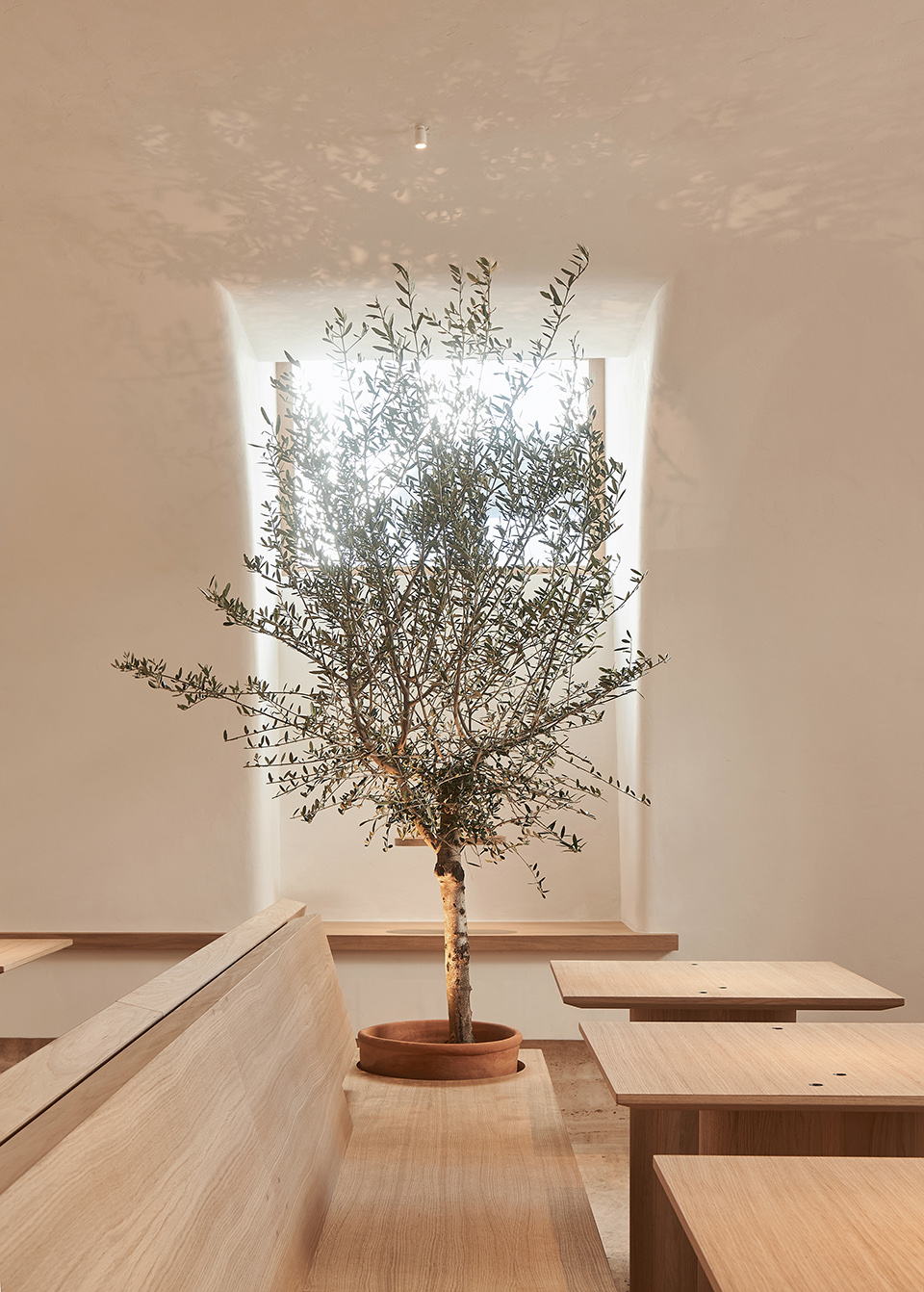 osteria betulla restaurant by da bureau