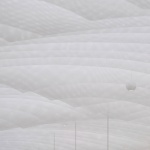 New Wave by Da Vittorio餐厅，上海 / 联图建筑设计
