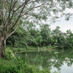 PRY 1 (Khao Yai Grandview Resort) by Shma