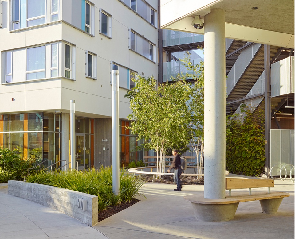 2020 asla residential design award of honor 901 fairfax hunters view andrea cochran landscape architecture