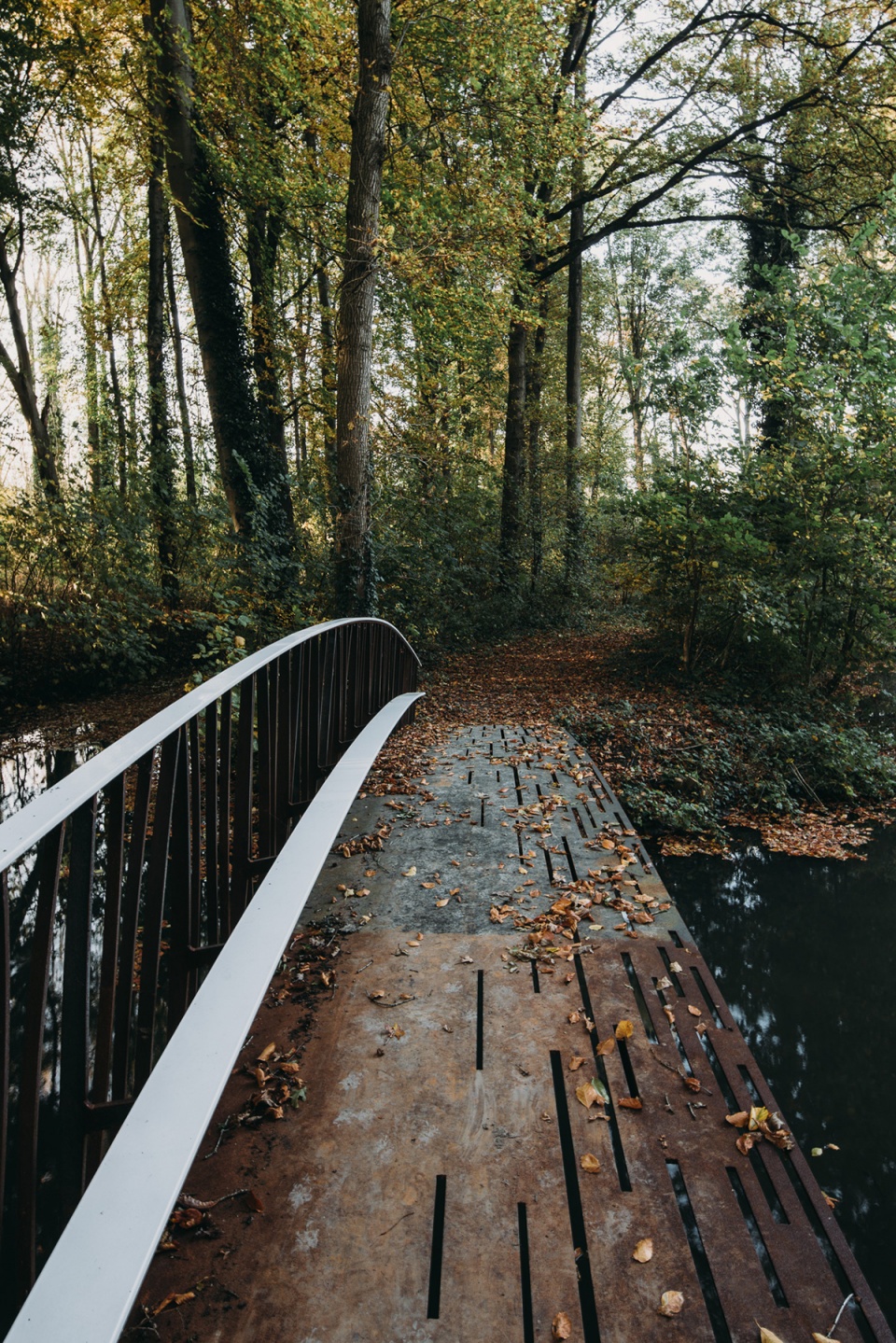 8 new bridges for windesheim estate by next architects