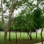 PRY 1 (Khao Yai Grandview Resort) by Shma