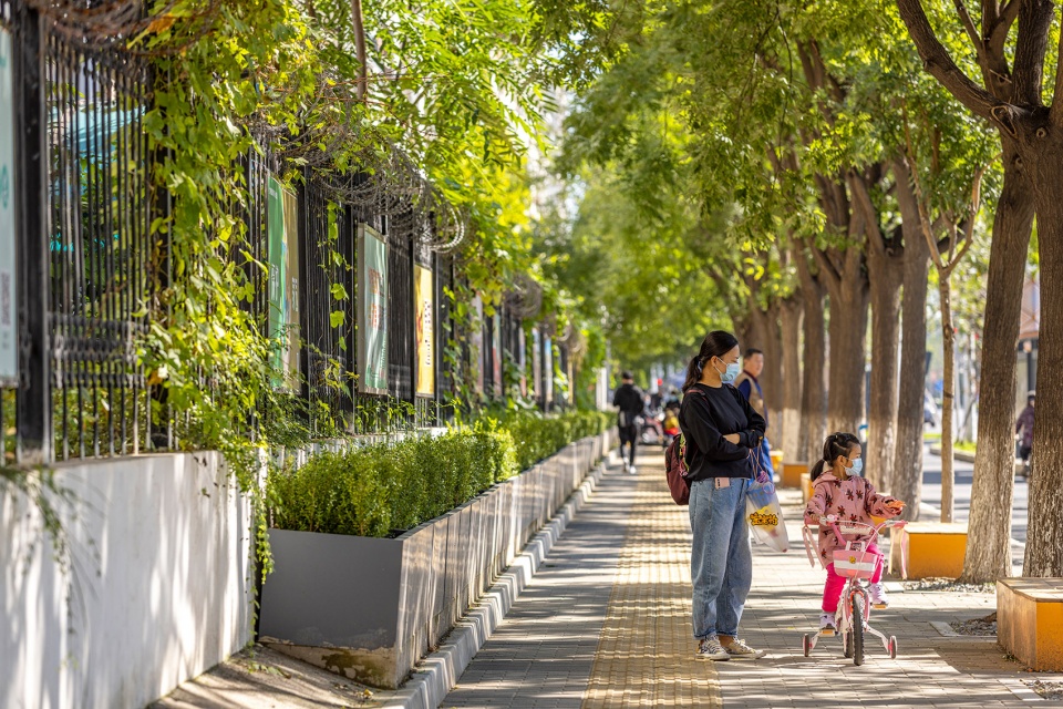 Multidisciplinary Renovation for Xihongmen Venture Street LA Design Group