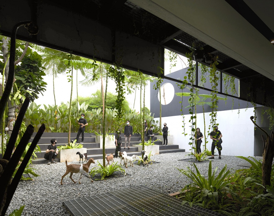 micro tropicality radar hq by radar