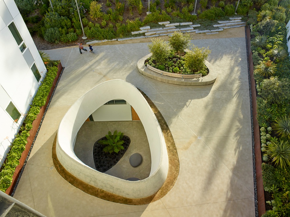 2020 asla residential design award of honor 901 fairfax hunters view andrea cochran landscape architecture