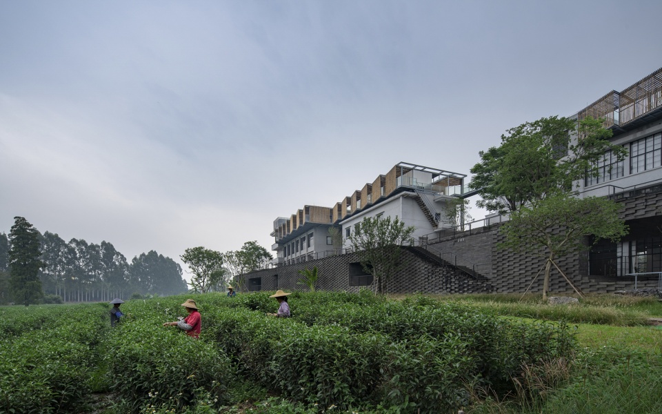 reforming duichuan tea yards china by o office architects
