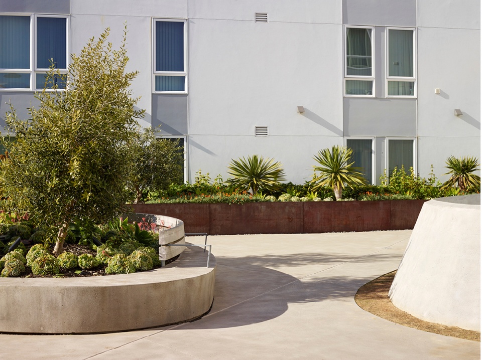 2020 asla residential design award of honor 901 fairfax hunters view andrea cochran landscape architecture