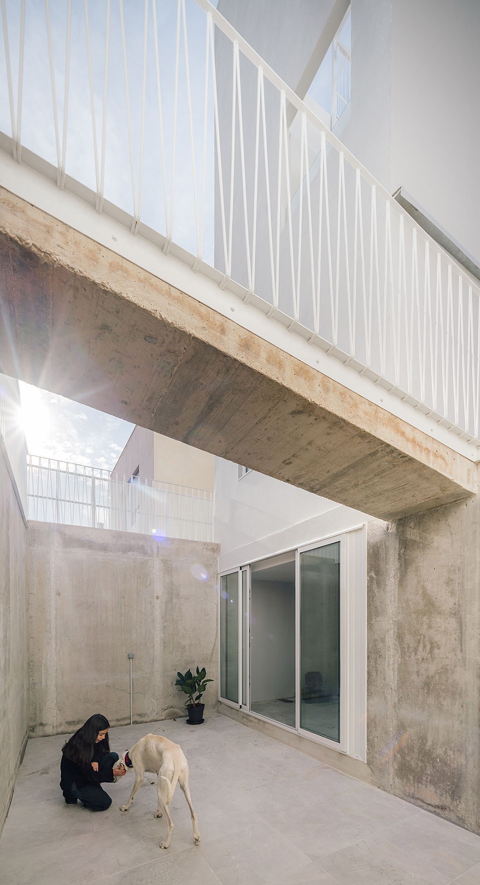 Galgo House Murado Elvira Arquitectos