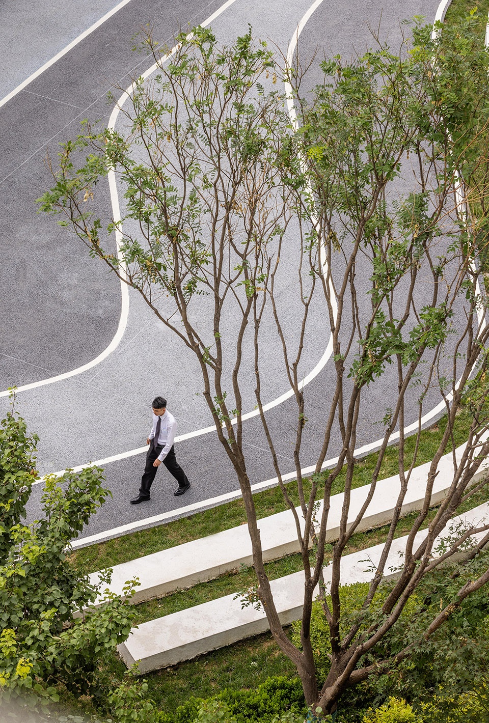 Multidisciplinary Renovation for Xihongmen Venture Street LA Design Group