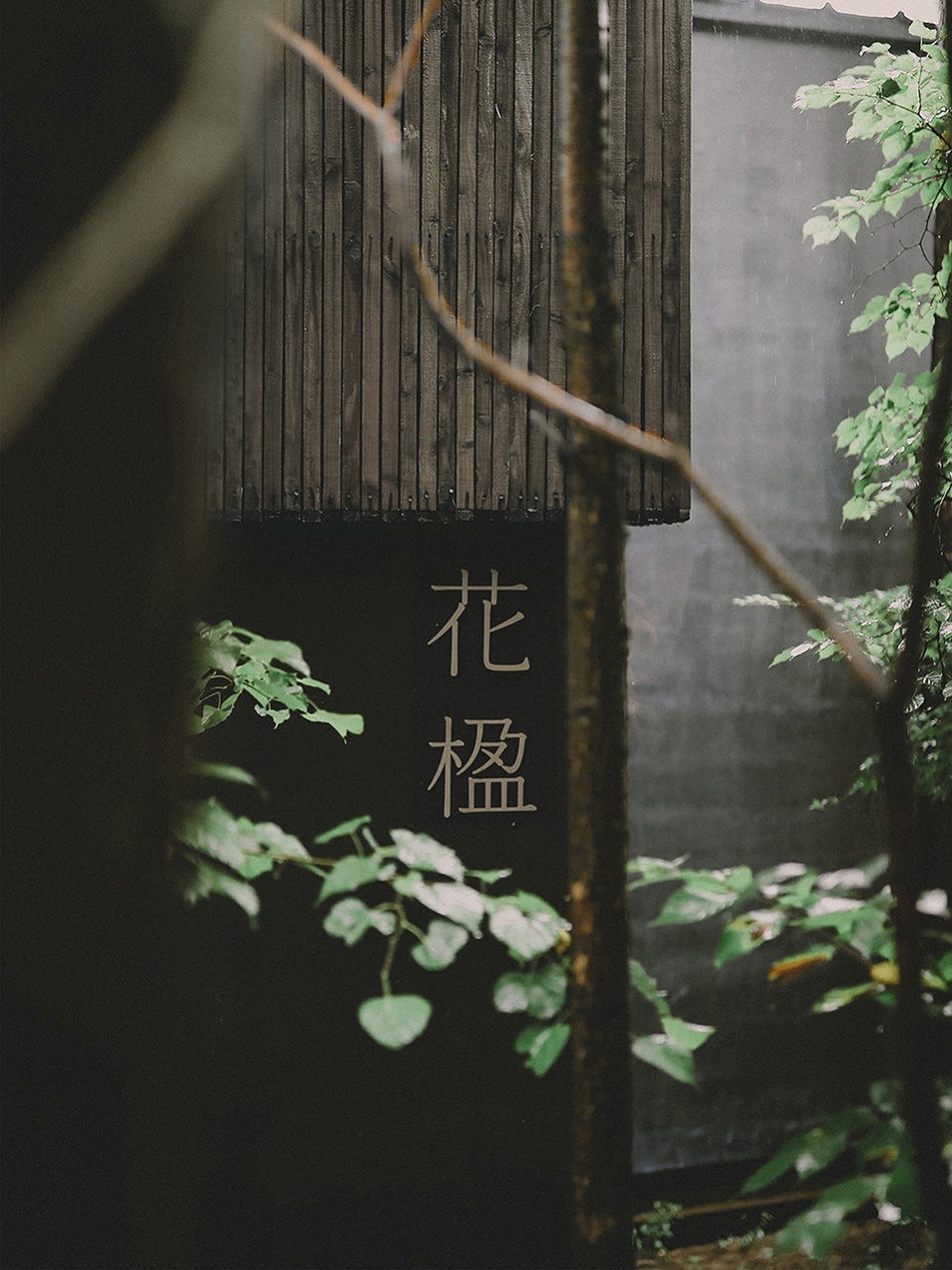 more than retreat coldest area forest retreat hotel china by poly design studio